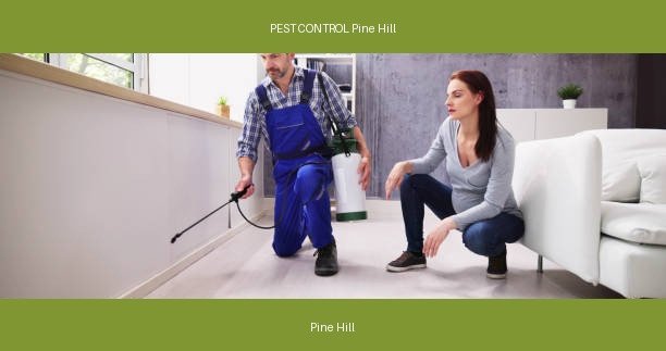 PEST CONTROL Pine Hill